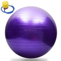 TD® Swiss Ball pour Fitness Yoga- 65 cm Anti-éclatement + pompe violet - Ballon d'Accouchement