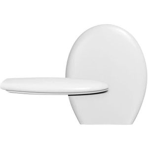 Abattant WC Abattant Toilette Doré avec Ralentissement Résine  Urée-Formaldéhyde Dessus Ultra Résistant Fixe U/V/O Forme Compatible  Couvercle Abattant WC,Gold-40~48cm*33~38cm : : Bricolage