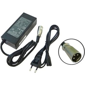 Chargeur 24V rapide 10A pour batterie Lithium LiMn