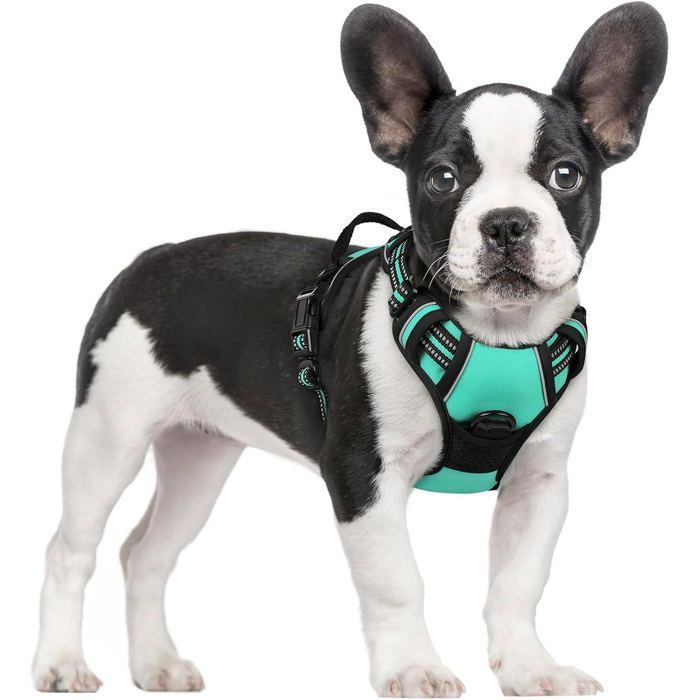 Comparer les prix de Harnais Chien Anti Traction Mente Verte XS Harnais Chien avec Poignée Facile à Mettre Gilet Réglable Réfléchissant pour Petit Chien