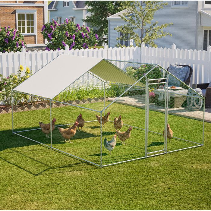 COVREO Poulailler extérieur 3 x 4 x 2 m en métal gris avec toit PE imperméable et grillage hexagonal