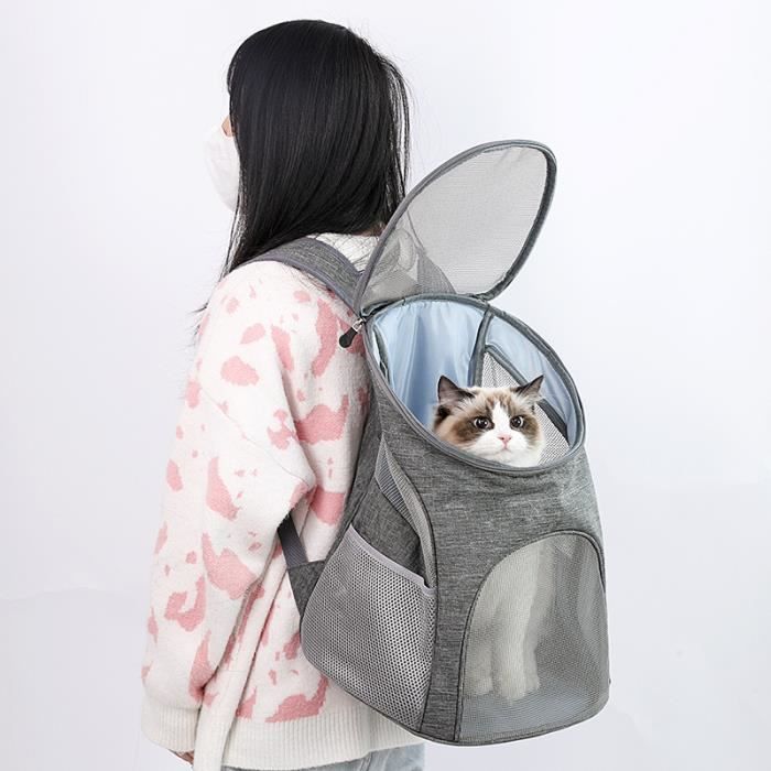Caisse Transport Chien Sac Transport Chat Maxi Zoo Panier Chien