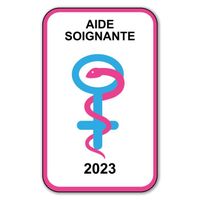 Autocollant Sticker - Vignette Caducée 2023 pour Pare Brise en Vitrophanie - V9 Aide Soignante 