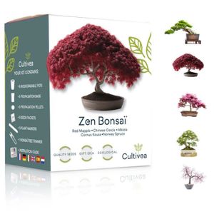 Cultivez facilement 4 types de bonsaïs av Cultivez votre propre kit de Bonsai 
