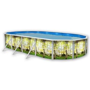 PISCINE FORÊT Piscine hors sol ovale en acier 730 x 366 x 120 cm (Kit complet piscine, Filtre, Skimmer et échelle)