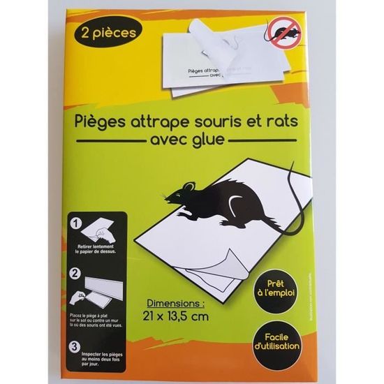 Piège Attrape Souris et Rat Glue 21 x 13.5 cm - Maison Colle Nuisible Rongeur - 481
