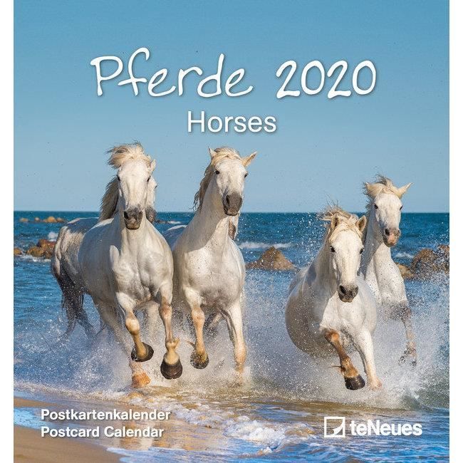 Calendrier Carte Postale Detachable Chevaux Ten Achat Vente Carte Postale Calendrier Carte Postale Cdiscount Calendrier Carte Postale Detachable Chevaux Ten Achat Vente Carte Postale Calendrier Carte Postale Cdiscount