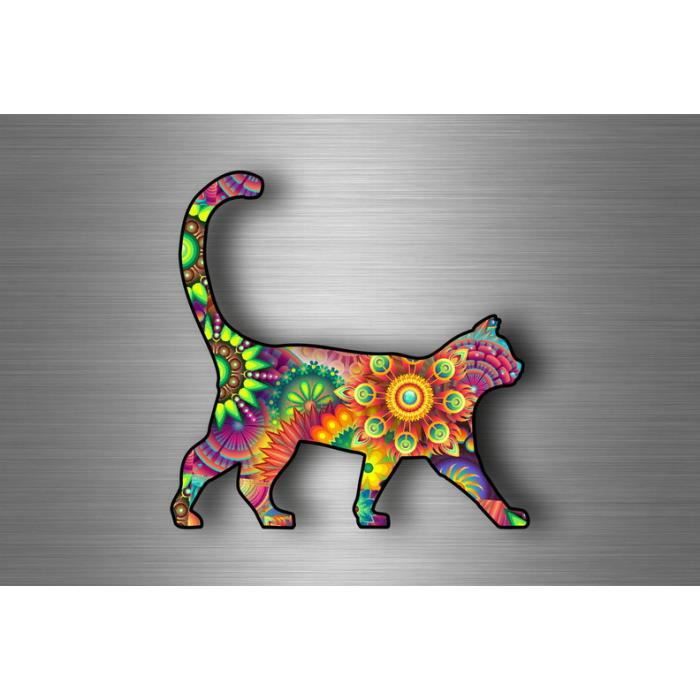 Akachafactory Autocollant Sticker Voiture Moto Animal Animaux Bebe Chat Chaton Gris Enfant
