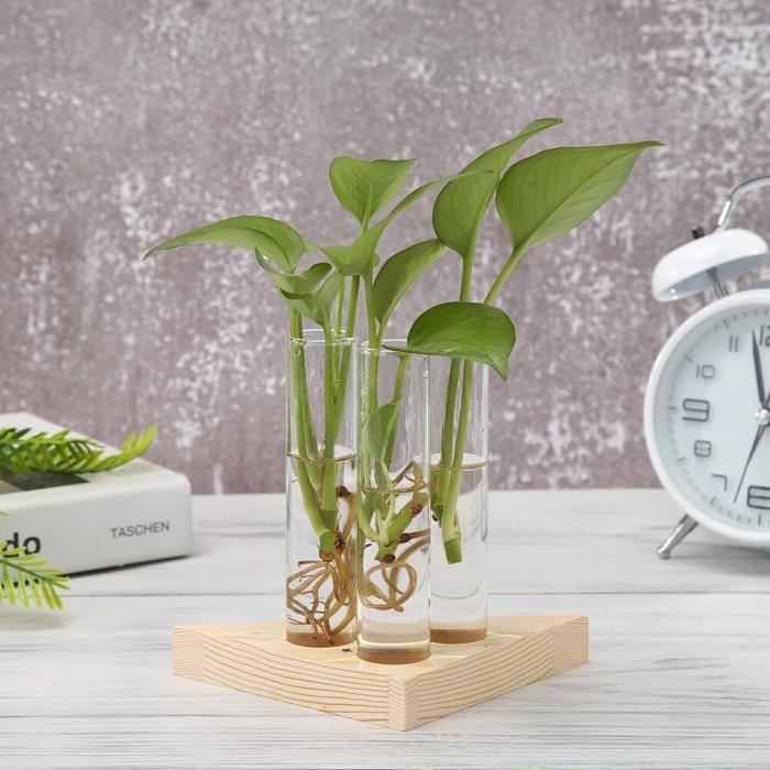 Vase,Jardinière En Verre Et Bois Pour Terrarium, Plantes Hydroponiques