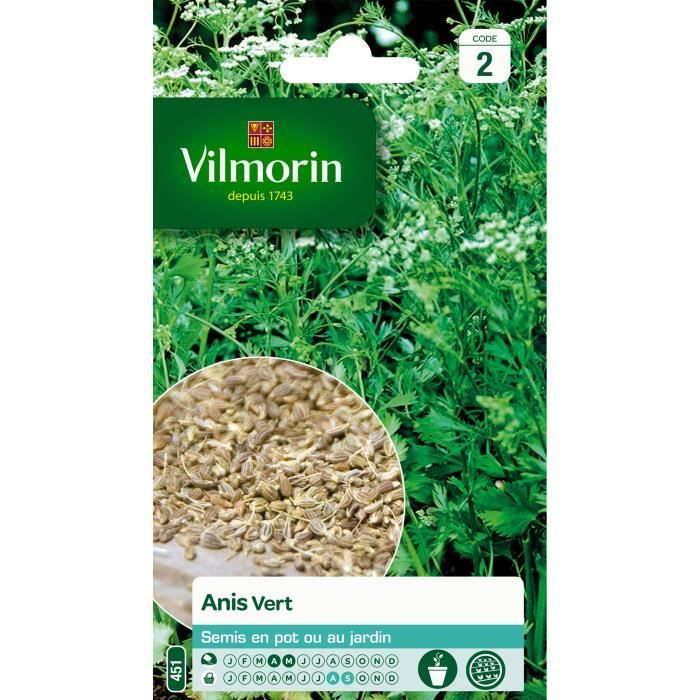 Graines d'Anis vert VILMORIN - Aromatique - Semis en pot ou au jardin