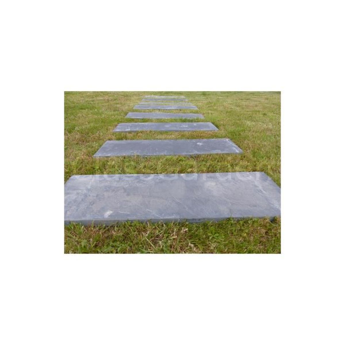Dalle Pas Japonais Rectangulaire 80x30 Pack De 20 Pieces Achat
