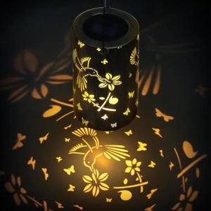 LAMPION Lampes Solaires Extérieur Arrosoir Solaire Avec Gu