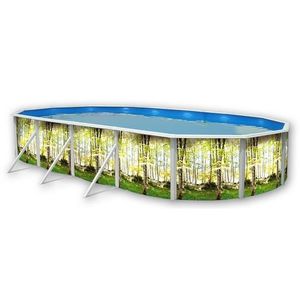 PISCINE FORÊT Piscine hors sol ovale en acier 915 x 457 x 120 cm (Kit complet piscine, Filtre, Skimmer et échelle)