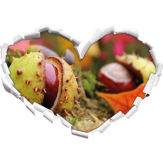 Premiere Chataigne A La Forme Du Coeur Ouvre En 3d Look Mur Ou Une Porte Autocollant Format 92x64 5cm Stickers Muraux Stickers M Cdiscount Maison Premiere Chataigne A La Forme Du Coeur Ouvre En 3d Look Mur Ou Une Porte Autocollant Format 92x64 5cm Stickers Muraux Stickers M Cdiscount Maison