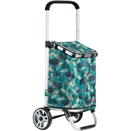 Chariot De Courses Pliable 6 Roues - Sac Isotherme Amovible | Capacité 50kg | Monte-escalier | Aluminium Léger