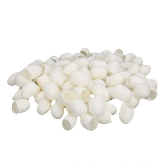 CHN Cocons de soie Cocons de vers à Soie 100 Pièces, Boules D'épluchage — free download