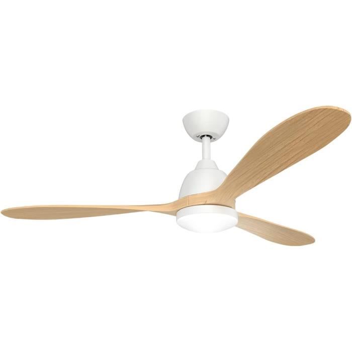 Ventilateur De Plafond Avec Lumière DC - Silencieux, Réglable Par App !