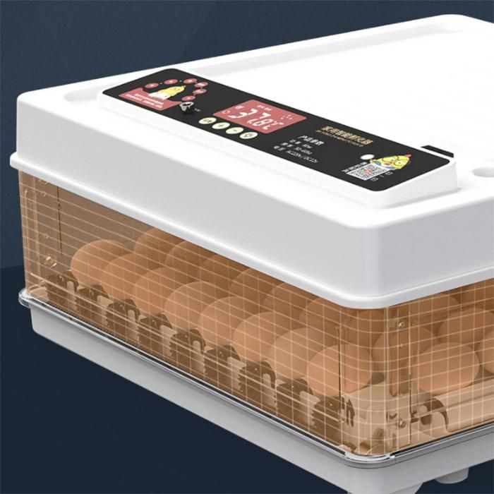 Meilleurs prix pour Couveuse automatique Incubateur 36 oeufsRetournement automatique des œufs humidification automatique indication dhumidité