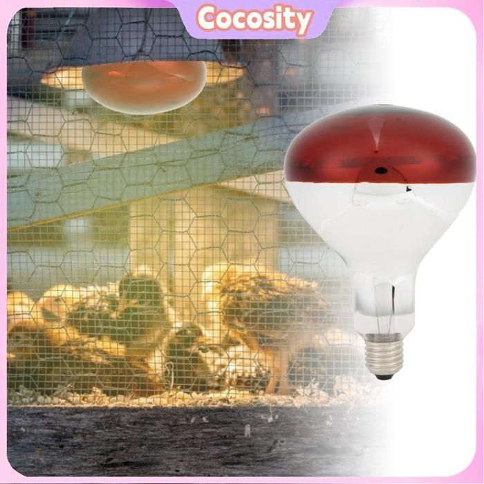 Comparer les prix de Cocosity Ampoule rouge pour couveuse Ampoule de Lampe Chauffante de Poussins Ampoule Rouge de Lampe Chauffante animalerie soin