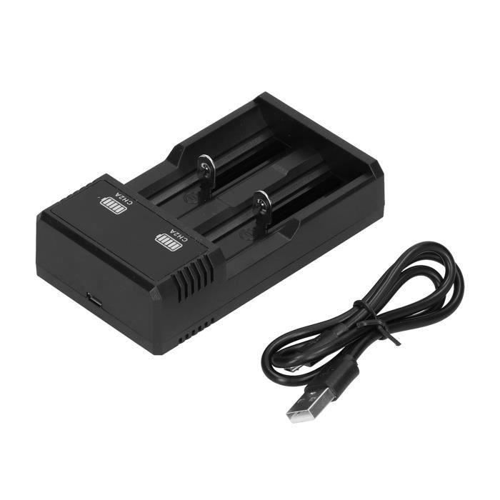 Chargeur de batterie de voiture - bateau - motos rc