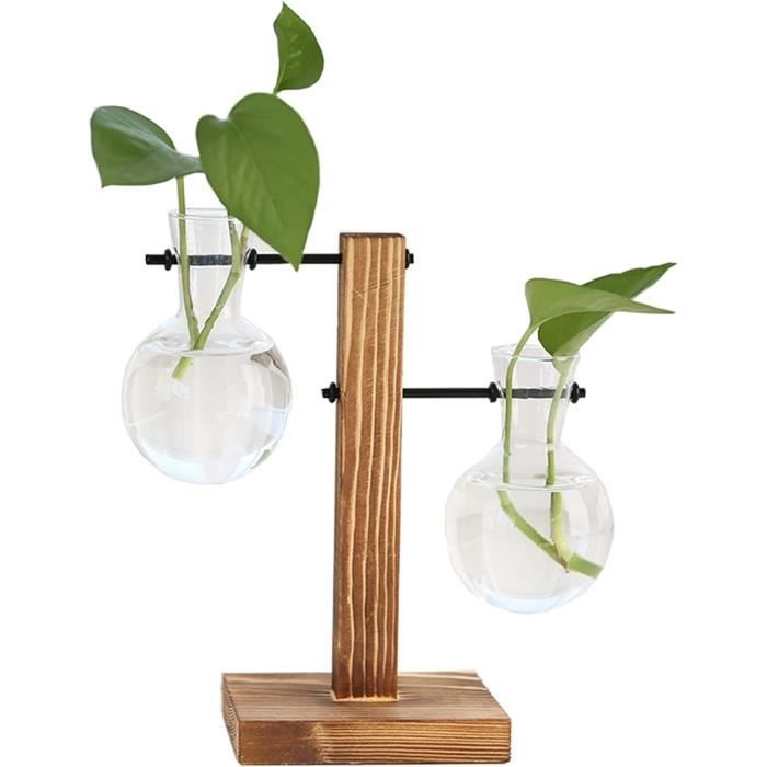 Lot de 2/4 pots de fleurs hydroponiques à suspendre en acrylique avec crochets à ventouse pour décoration de fenêtre de maison, de bureau