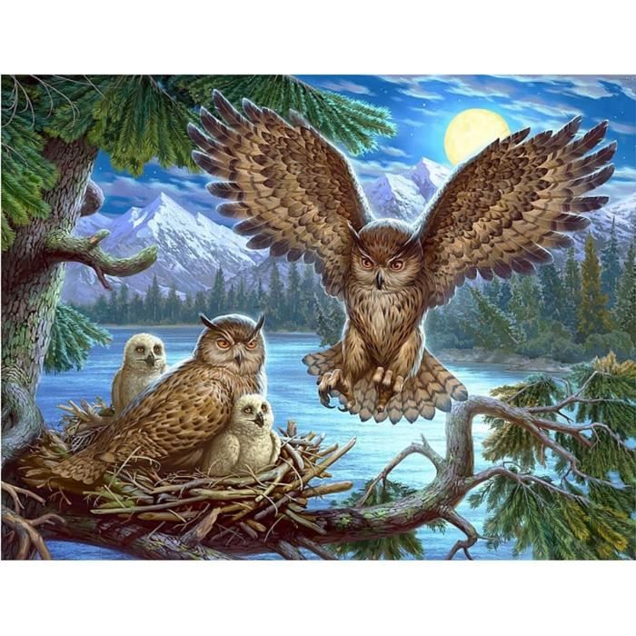 Kit Diamond Painting Hibou 5D - 30x30 Cm - Diamants Ronds - Artisanat Bricolage Loisir Créatif Anti-Stress