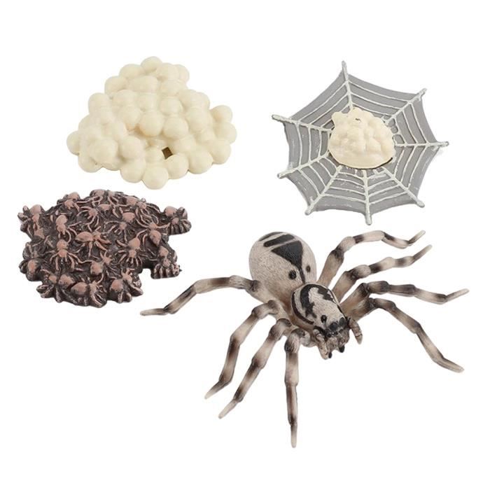 Decouverte Nature Decouverte Animaux Decouverte Insectes 1 Morceau D Oeuf De Larve Cdiscount Jeux Jouets