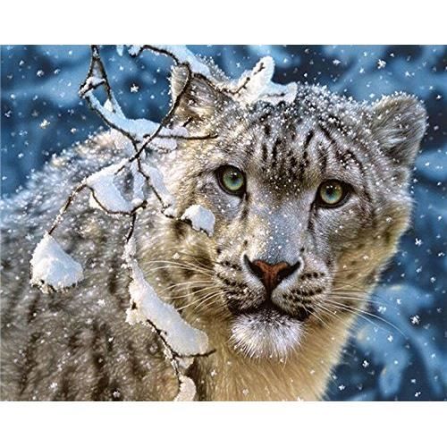 Kit Diamond Painting 5D Chat - Toile 30x40 Cm, Strass, Kit Complet | Artisanat DIY, Décoration Murale Salon Chambre
