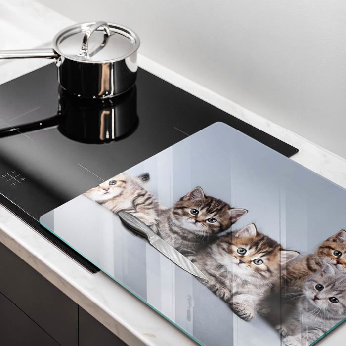 Rondeur - 6 plats de cuisine, chat mignon Mini taille Pigments