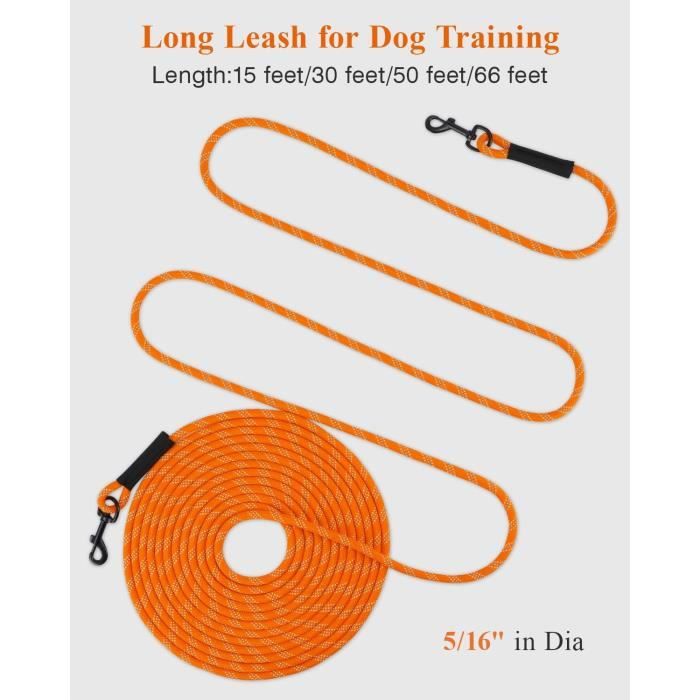 Longe Pour Chien-Longe Chien 5M 10M 15M 20M 30M Laisse Pour Chien