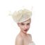 Coiffure Bibi Plume Voilette Mariage Soiree Accessoire Cheveux