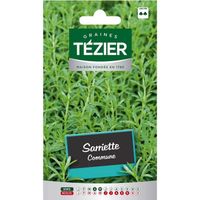 Sachet Graines - Tezier - Sarriette Commune - Sachet aromatique - (Mois de semis de 4 à 5)