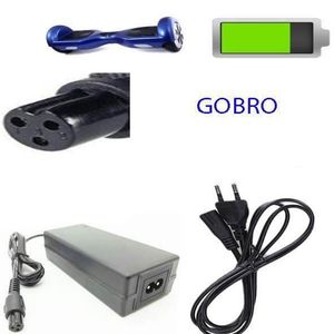ACCESSOIRES HOVERBOARD Chargeur Hoverboard GOBRO CHTA3571