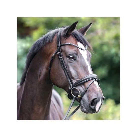 leather halter with round-stitched noseband Black P