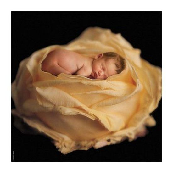 Puzzle 1000 Pieces Carre Anne Geddes Bebe Rose Cdiscount Jeux Jouets Puzzle 1000 Pieces Carre Anne Geddes Bebe Rose Cdiscount Jeux Jouets