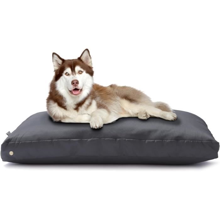 Coussin pour chien cheap imperméable