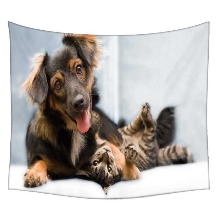 Chien Jouant Avec Un Chat Rideau Mandala Achat Vente Rideau Cdiscount Chien Jouant Avec Un Chat Rideau Mandala Achat Vente Rideau Cdiscount