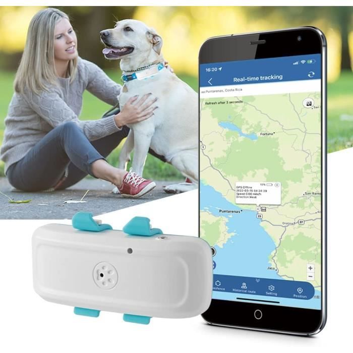 Collier avec Balise GPS temps réel sans abonnement pour animaux