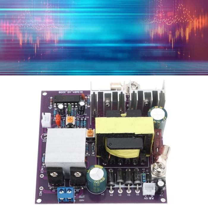 Module Onduleur - DIOCHE - 300 W - Convertisseur DC-AC - Tension ...