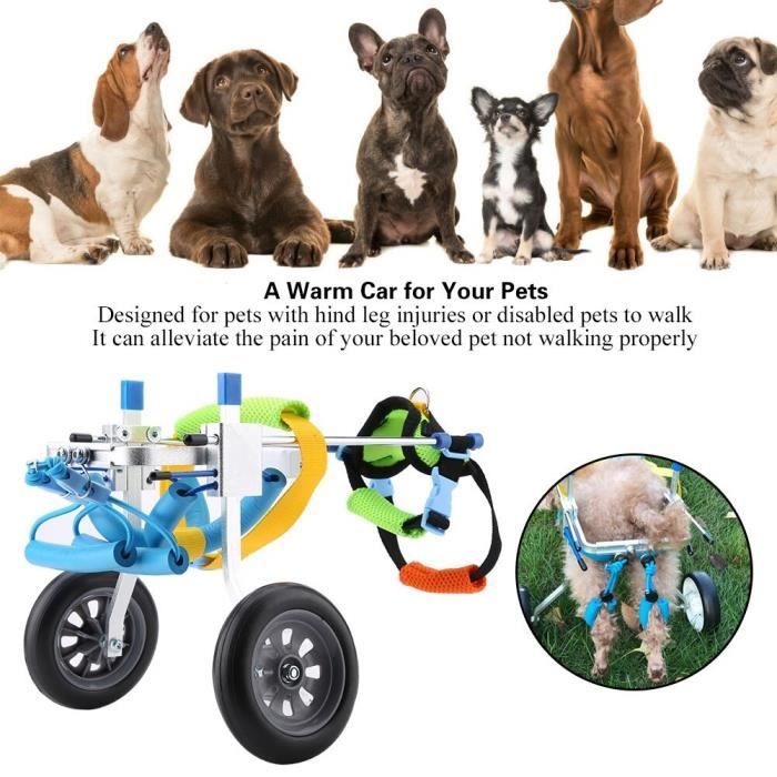 Metal Alliage D Aluminium Chat Pet Chiot Chien Fauteuil Roulant Chien Handicape Patte Arriere Marche Chariot Scooter Pour Animal Poi Cdiscount Sante Mieux Vivre
