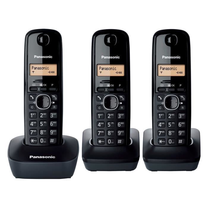 Panasonic KX TG1613 DECT