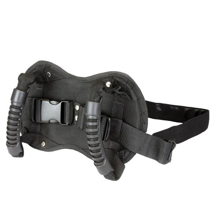 Meilleurs prix pour Ceinture de sécurité pour moto et scooter - - - Réglable - Confortable - Évite les chutes