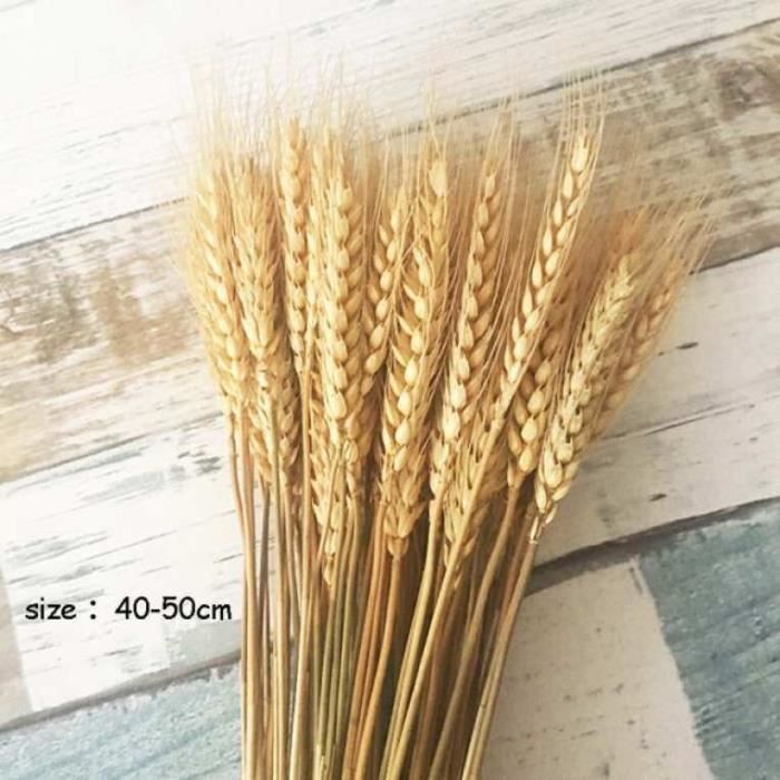 Litière Décorative En Fleurs Séchées Et épis De Blé Pour Hamster - Décoration D'habitat Naturel - 25 Cm, 80g - 4