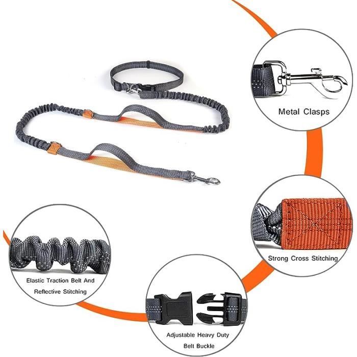 Laisse Vélo Pour Chien - Nylon Et Métal, Extensible Jusqu'à 76 Cm, Fixation Rapide Sur Tige De Selle, Résiste à 450 Kg, Idéale Jogging
