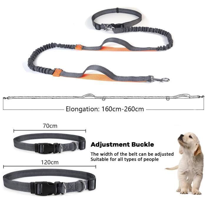 Laisse ventrale deals pour chien