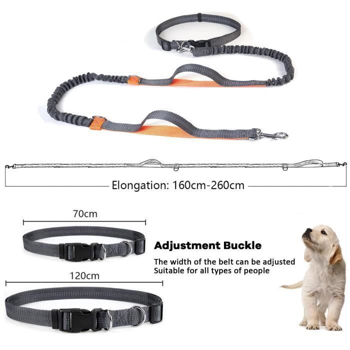 Laisse Main Libre Chien avec Sangle Ventrale, Laisse Rétractable de Jogging,  Laisse élastique et réfléchissante pour Chien - Cdiscount