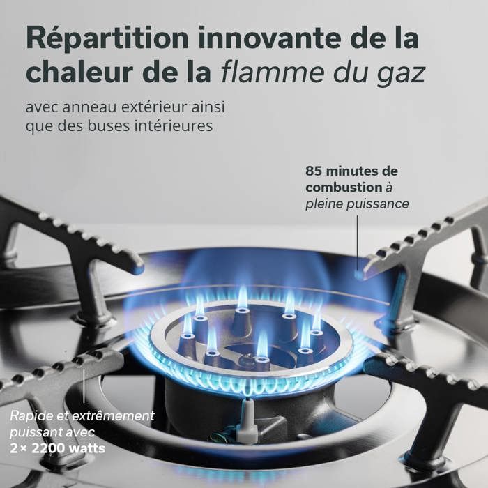 Réchaud à gaz Skandika Brann 2 feux camping barbecue robuste acier — free download