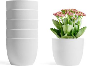 PROGRAMMATEUR ARROSAGE 6pcs Pot de Fleur d'arrosage Automatique 12 cm Blanc Niveau d'eau Visible Maison Décorative Fleur Pot Fleurs Applicables,.[Q551]