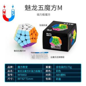 PUZZLE Megaminx magnétique - Cube Magique Magique Profess