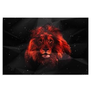 /énorme XXL Photos compl/ètement encadr/ée avec civi/ère belle abstraite Leo noir // blanc Taille: 60x40 sur toile art impression sur murale avec cadre moins cher que la peinture ou la peinture /à lhuile aucune affiche ou